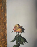 Jesse Glazzard, Saint Laurent: Rive Droite
