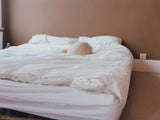 Greta Ilieva, Rooms