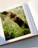 Diego Vourakis, De Cara Al Sol *Signed