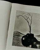 Jack Davison, photographs 2023 *Signed