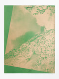 Danny Lim, Green