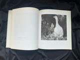 Esther Kroon, Esther Kroon 1966-1992