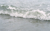 Marie Deteneuille, Nuage Lepage, The Sea Around Us