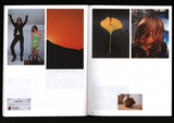 Lukas Panek, Inner, Outer, Paintings, Friends