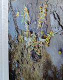 Kalpesh Lathigra, Memoire Temporelle *Signed