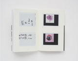 Steve Harries, Studio Botanical