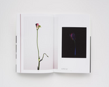 Steve Harries, Studio Botanical