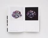 Steve Harries, Studio Botanical