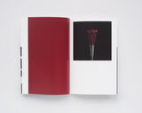 Steve Harries, Studio Botanical