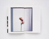 Steve Harries, Studio Botanical