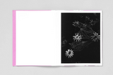 Pia-Paulina Guilmoth, Flowers Drink The River