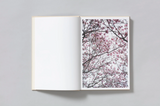 Shen Wei, A Season Particular
