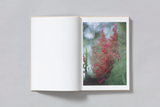 Shen Wei, A Season Particular