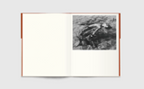 Lore Stessel, As the Sky Remembers the Sea