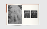 Lore Stessel, As the Sky Remembers the Sea