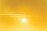 Ten Suns by Laura Jane Coulson