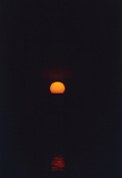 Ten Suns by Laura Jane Coulson