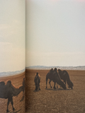 Mali Marciano & Mark Borthwick, Silk Road