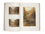 Boris Mikhailov, Crimean Snobbism