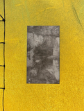 Pearson Brown, La Malcontenta