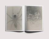 Ola Rindal, Stains & Ashes