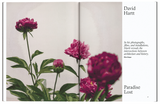 Aperture No255: The Design Issue