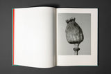 Tereza Zelenkova, The Essential Solitude