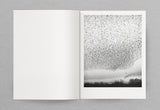 Billy Barraclough, Murmurations *Signed