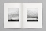 Billy Barraclough, Murmurations *Signed