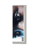 Marie Valognes, Edited Stories