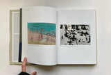 Michael Bracewell, Modern World: The Art of Richard Hamilton