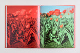 Andrew Miksys, Tulips *Signed