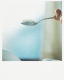 Rinko Kawauchi 川内 倫子, Utanane