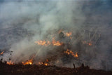 Zora Sicher, Geography *Signed *Pre-order*