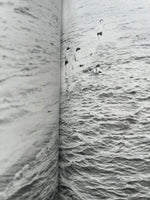 Daido Moriyama, Provoke (Provocative Materials for Thought): Complete Reprint of 3 Volumes