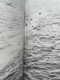 Daido Moriyama, Provoke (Provocative Materials for Thought): Complete Reprint of 3 Volumes