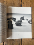 Vija Clemins, A.R.T. Press 1992