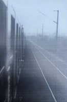 Wolfgang Tillmans, manual