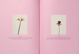 Liza Langen, The Practice of Arranging Flowers &amp; How To Embrace Seasonal Change
