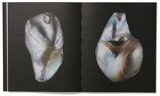 Rita Puig–Serra, Anatomy of an Oyster (second edition)