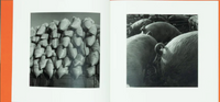 Kozo Miyoshi, A Long Interview with Kozo Miyoshi