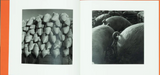 Kozo Miyoshi, A Long Interview with Kozo Miyoshi