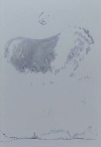 Yuka Kobayashi, Object