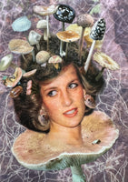 Lulu Williams, Princess Diana As Mushrooms Volume II