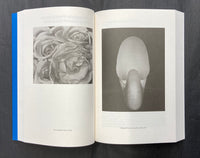 Carol Armstrong, Painting Photography Painting: Selected Essays
