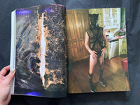 Arena Homme+ 47 S/A 2017 (McLellan / Hockney cover)