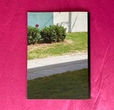 Dana Lixenberg, Photopaper: Imperial Courts 2008/2009