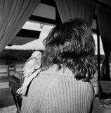 Pedro Guimaraes, How to fly