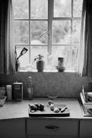 Matthew Finn et al., Pictures From The Garden