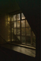 Matthew Finn et al., Pictures From The Garden